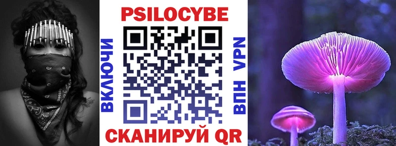 Галлюциногенные грибы Psilocybe  МЕГА маркетплейс  Вилюйск 